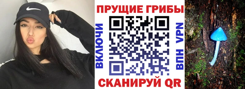 где купить наркотик  mega рабочий сайт  Псилоцибиновые грибы GOLDEN TEACHER  Агидель 